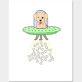 Funny retriever dog is flying a ufo Posters and Art